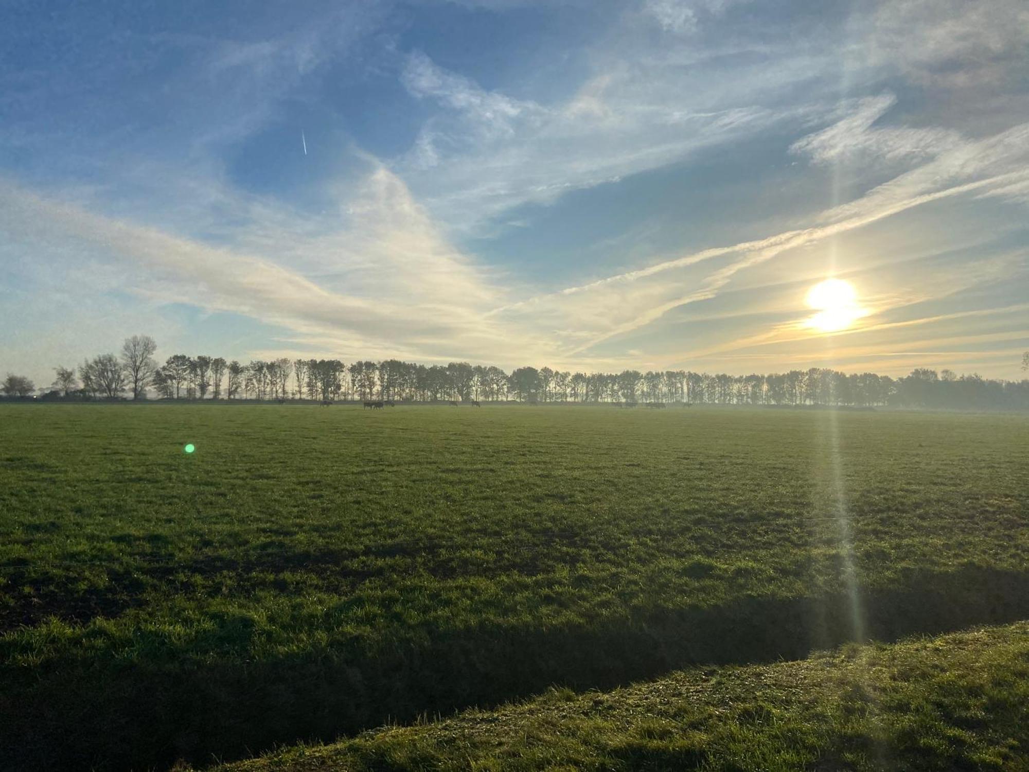 De Pastorij, Heerlijke Rustgevende Plek Tussen De Koeien! Holiday home Hornsterzwaag